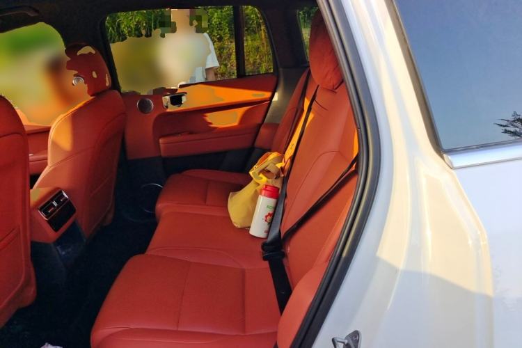 Used Li Auto L6 2024 Pro Model Left Rear Seat