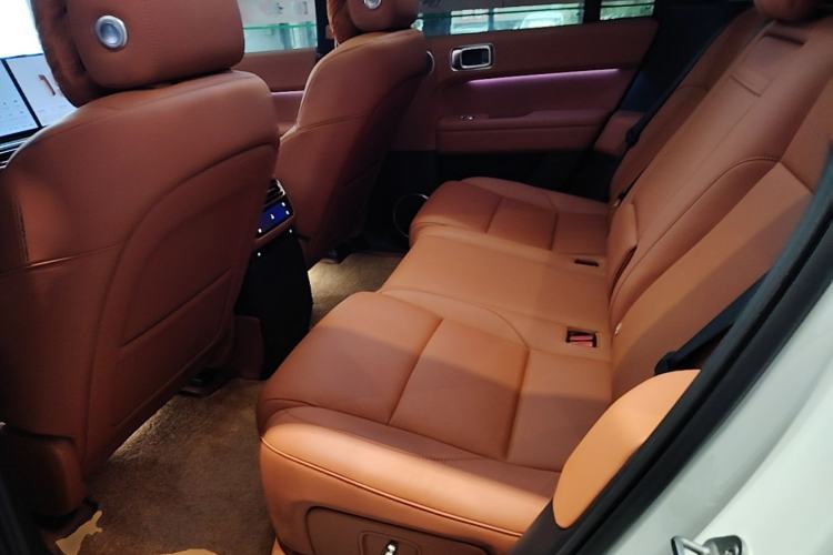 Used Li Auto L6 2024 Max Left Rear Seat