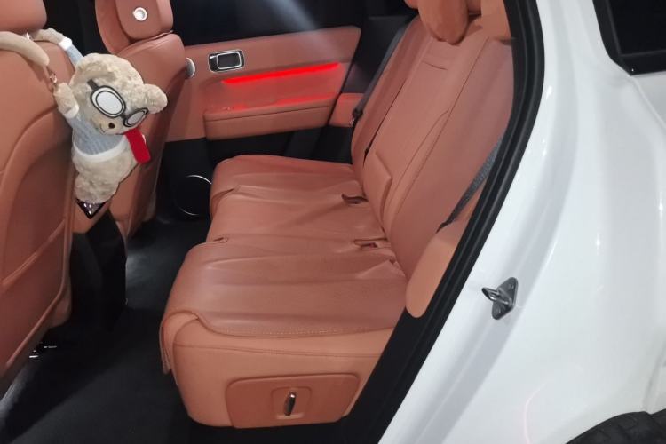 Used Li Auto L6 2024 Pro Model Left Rear Seat