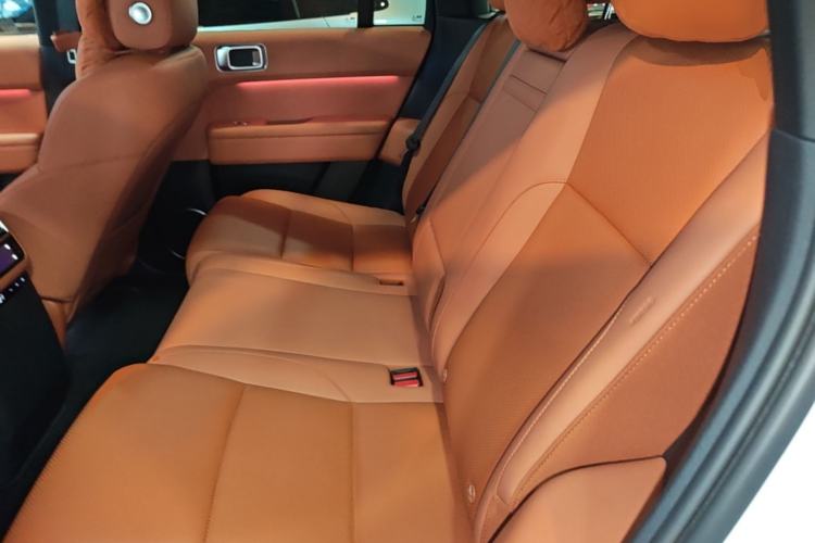 Used Li Auto L6 2024 Max Left Rear Seat