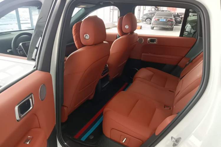 Used Li Auto L6 2024 Pro Model Left Rear Seat