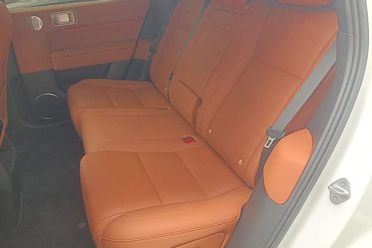 Used Li Auto L6 2024 Pro Model Left Rear Seat