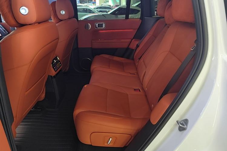 Used Li Auto L6 2024 Max Left Rear Seat