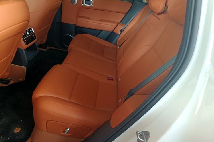 Used Li Auto L6 2024 Pro Model Left Rear Seat
