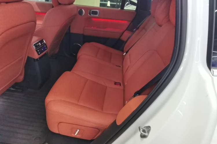 Used Li Auto L6 2024 Max Left Rear Seat