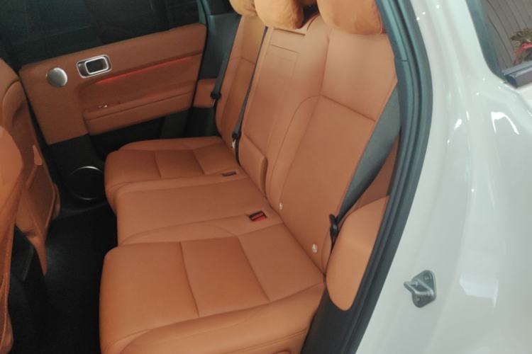 Used Li Auto L6 2024 Pro Model Left Rear Seat