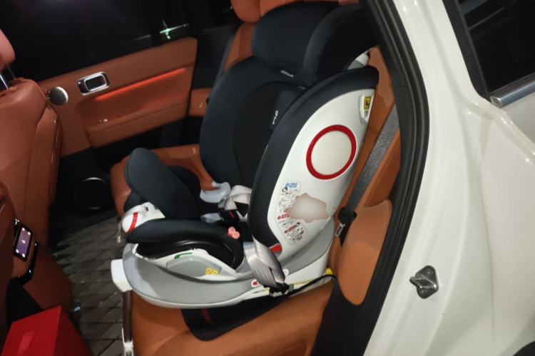 Used Li Auto L6 2024 Max Left Rear Seat
