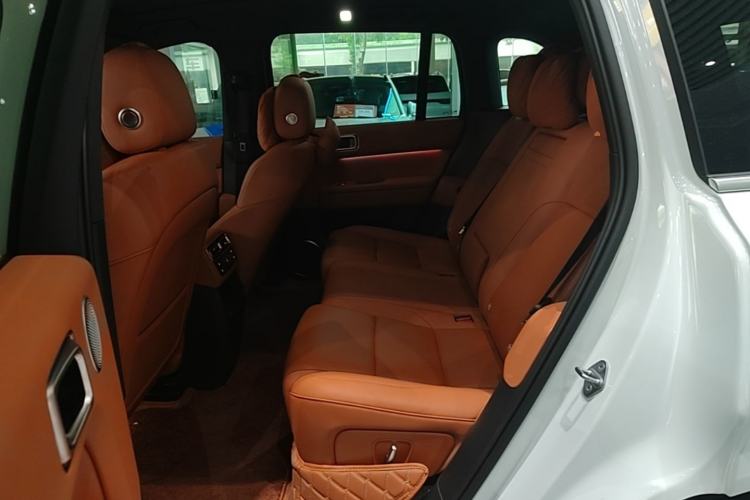 Used Li Auto L6 2024 Pro Model Left Rear Seat