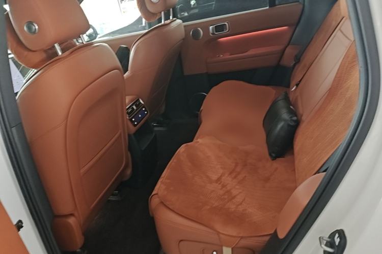 Used Li Auto L6 2024 Pro Model Left Rear Seat