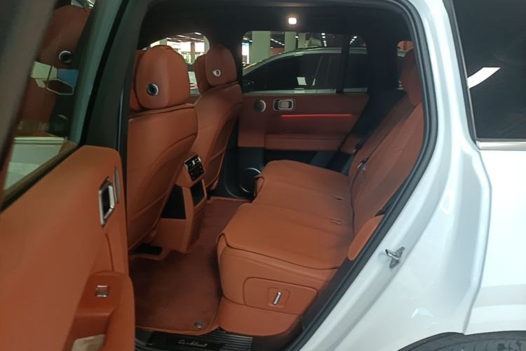 Used Li Auto L6 2024 Pro Model Left Rear Seat