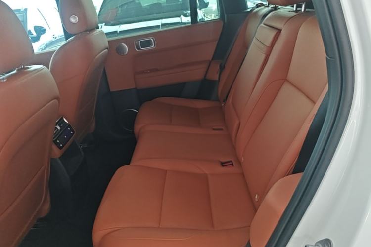 Used Li Auto L6 2024 Pro Model Left Rear Seat