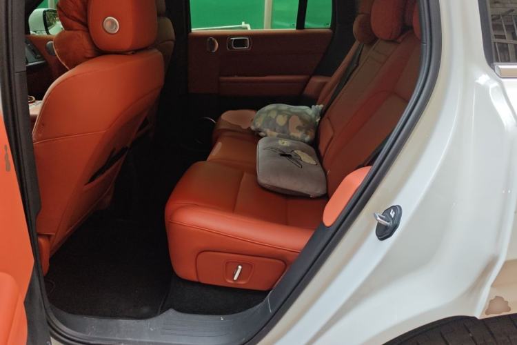 Used Li Auto L6 2024 Max Left Rear Seat