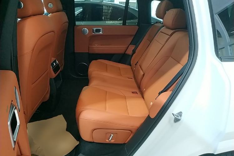Used Li Auto L6 2024 Pro Model Left Rear Seat
