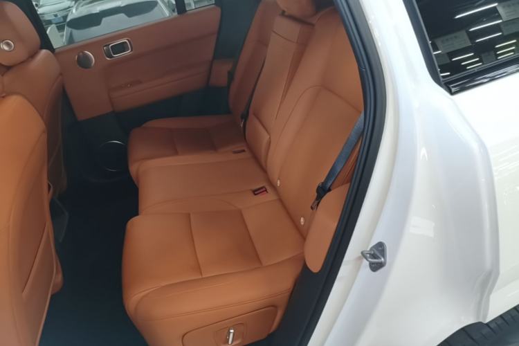 Used Li Auto L6 2024 Pro Model Left Rear Seat