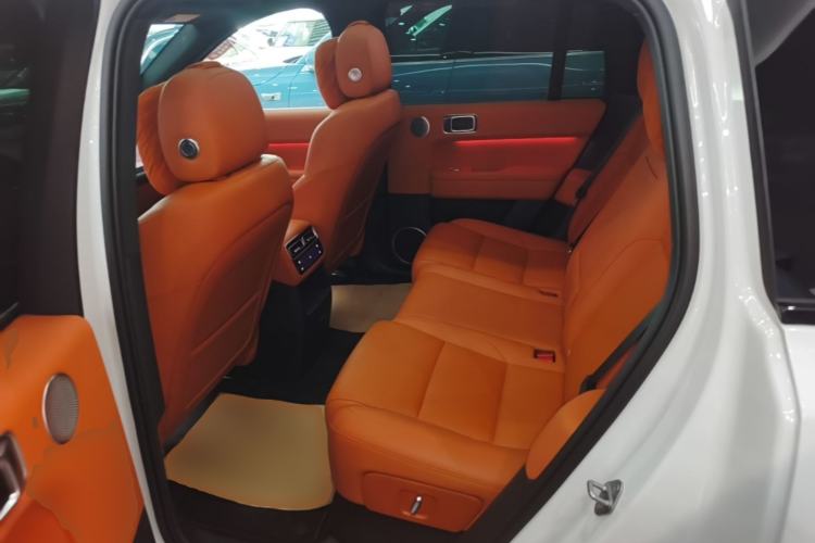 Used Li Auto L6 2024 Pro Model Left Rear Seat