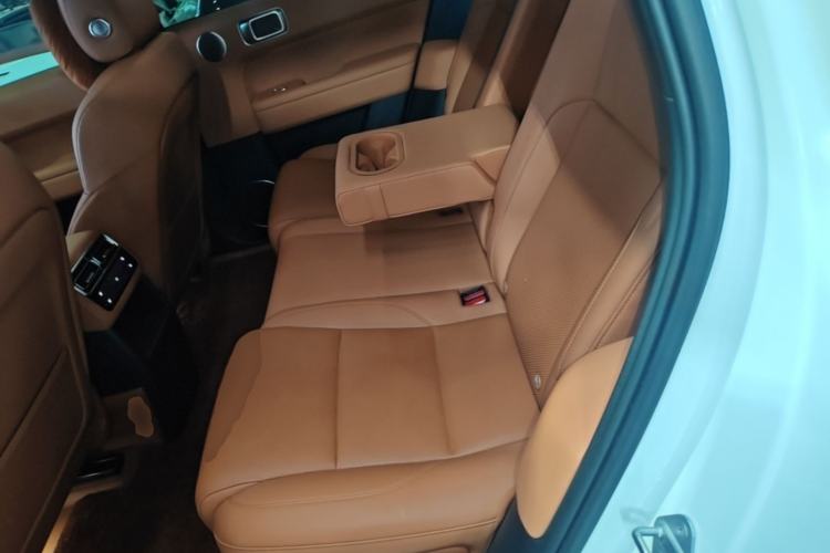 Used Li Auto L6 2024 Pro Model Left Rear Seat