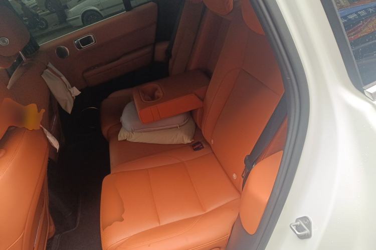 Used Li Auto L6 2024 Max Left Rear Seat