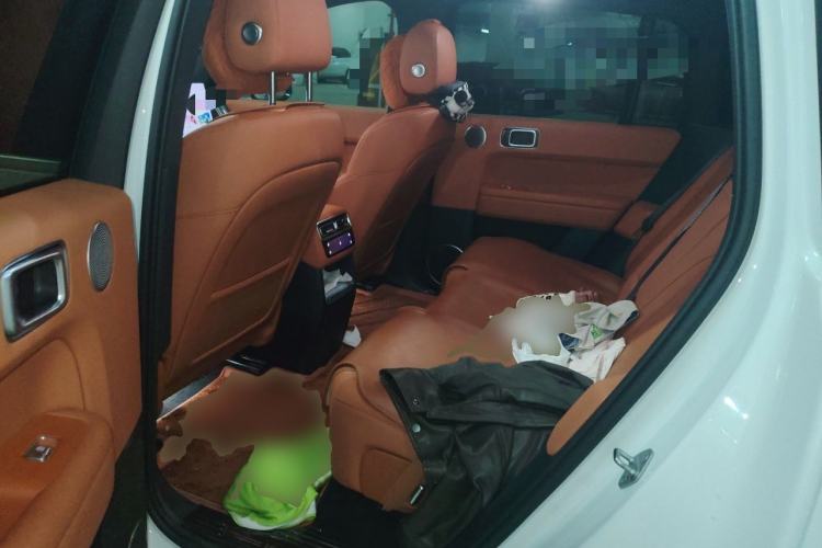 Used Li Auto L6 2024 Pro Model Left Rear Seat