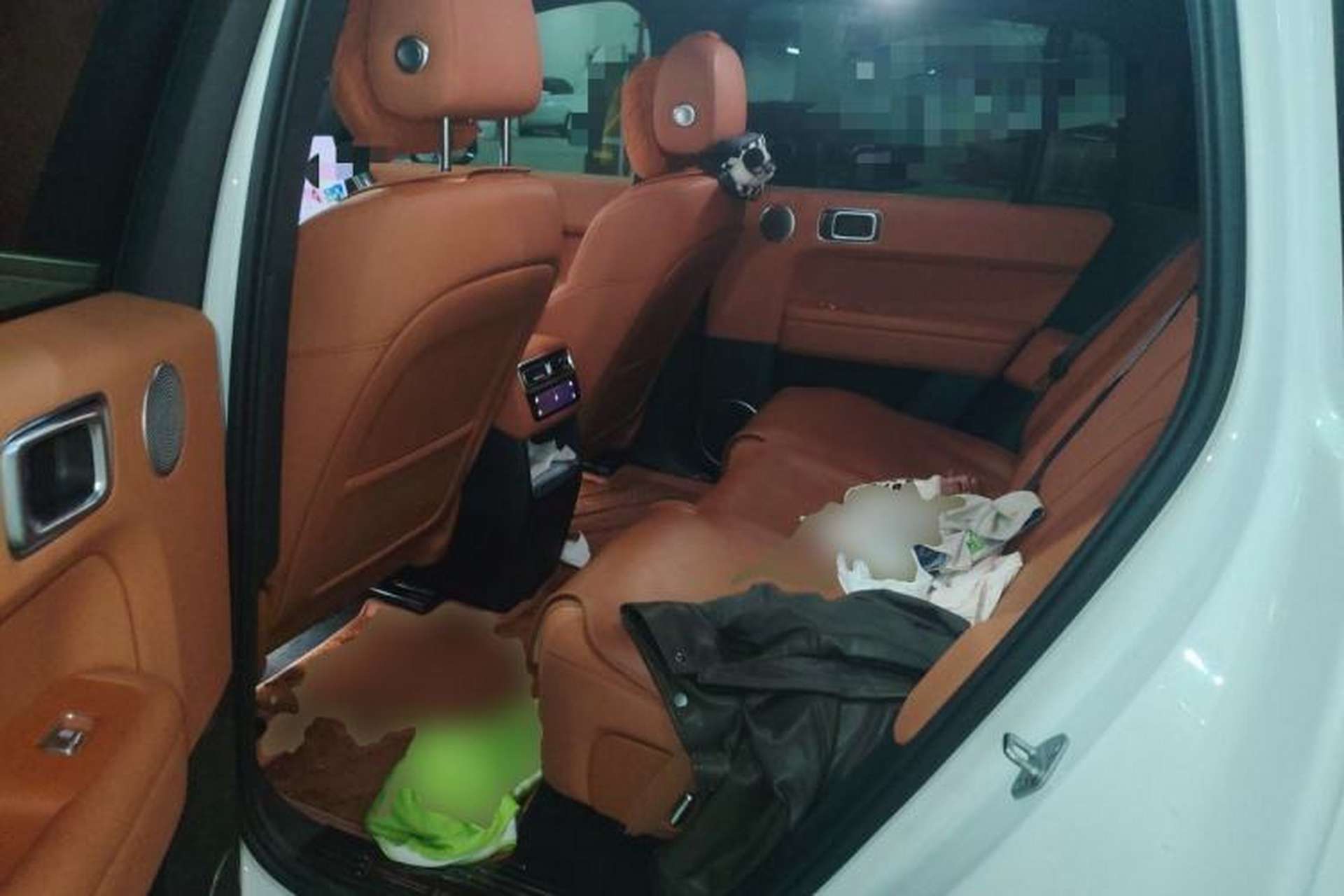 Used Li Auto L6 2024 Pro Model Left Rear Seat