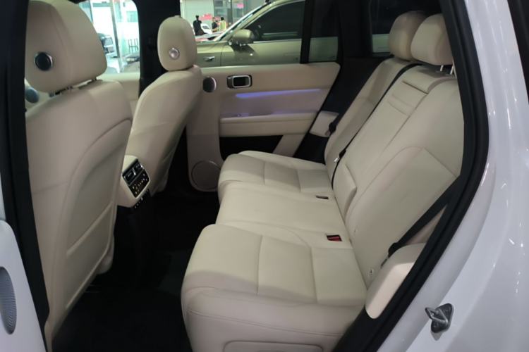Used Li Auto L6 2024 Max Left Rear Seat