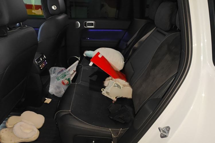 Used Li Auto L6 2024 Pro Model Left Rear Seat