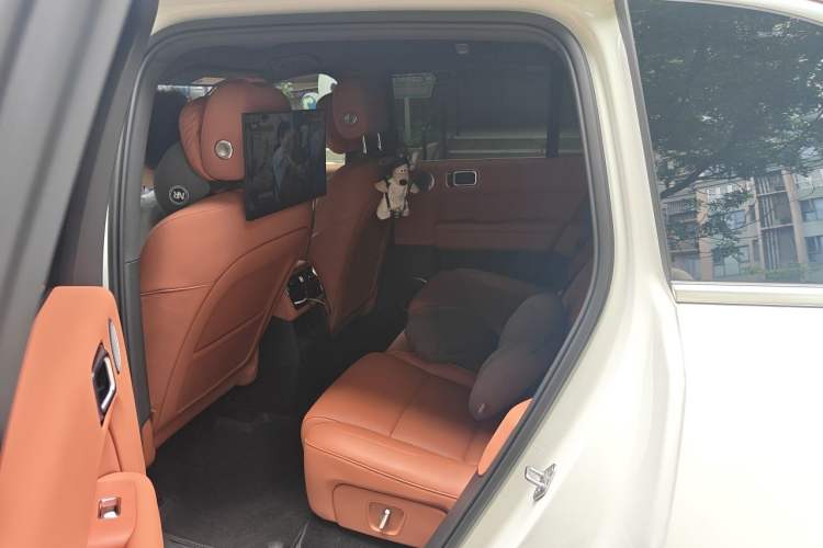 Used Li Auto L6 2024 Pro Model Left Rear Seat