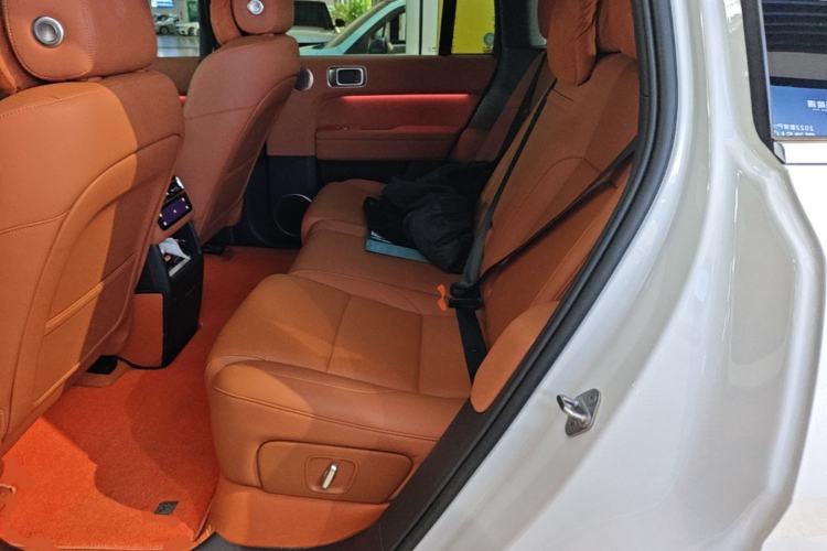 Used Li Auto L6 2024 Pro Model Left Rear Seat