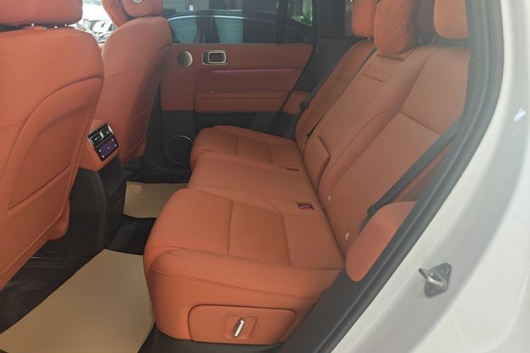Used Li Auto L6 2024 Pro Model Left Rear Seat