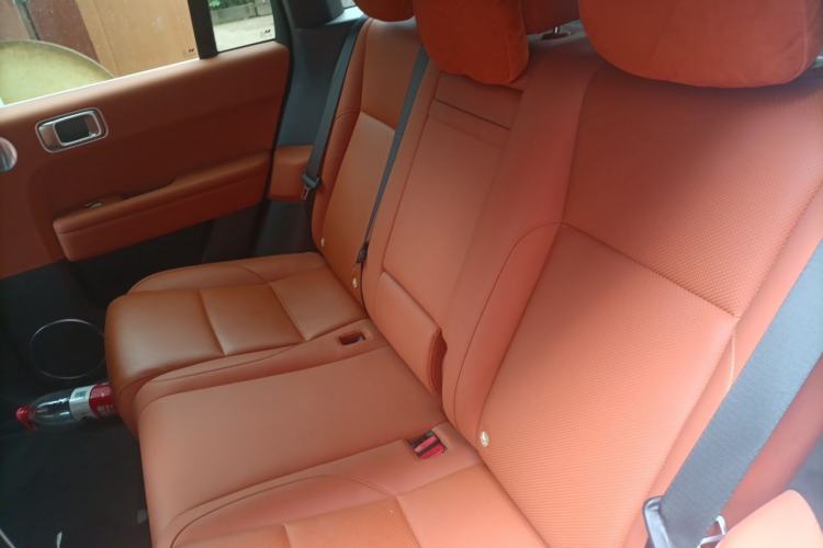Used Li Auto L6 2024 Pro Model Left Rear Seat