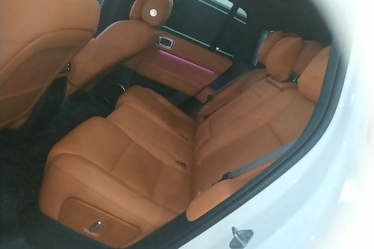 Used Li Auto L6 2024 Pro Model Left Rear Seat
