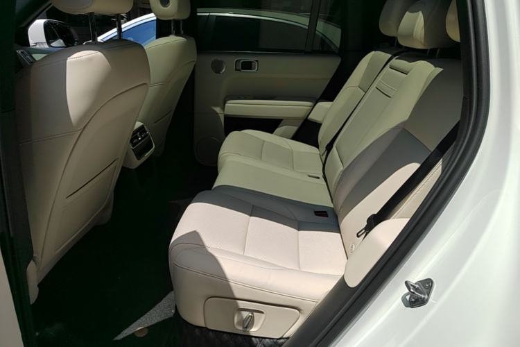 Used Li Auto L6 2024 Pro Model Left Rear Seat