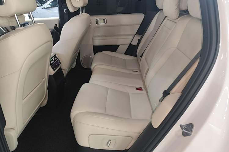 Used Li Auto L6 2024 Pro Model Left Rear Seat