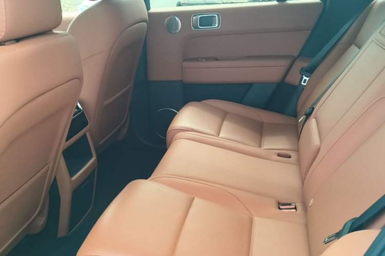 Used Li Auto L6 2024 Pro Model Left Rear Seat