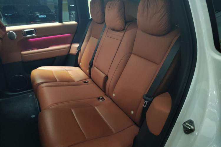 Used Li Auto L6 2024 Pro Model Left Rear Seat