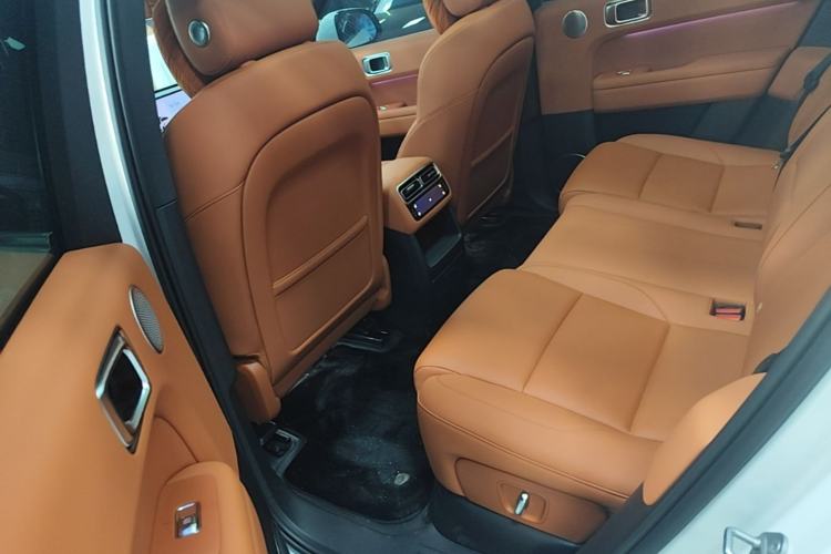 Used Li Auto L6 2024 Pro Model Left Rear Seat
