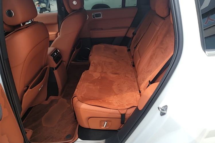 Used Li Auto L6 2024 Max Left Rear Seat