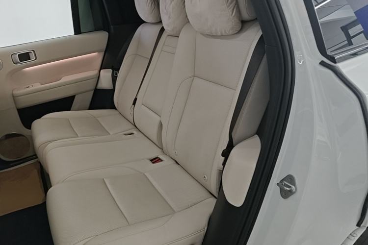 Used Li Auto L6 2024 Pro Model Left Rear Seat