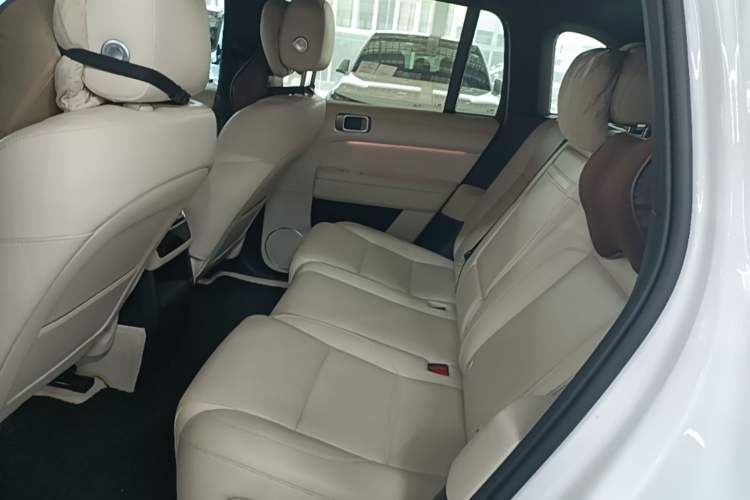 Used Li Auto L6 2024 Pro Model Left Rear Seat