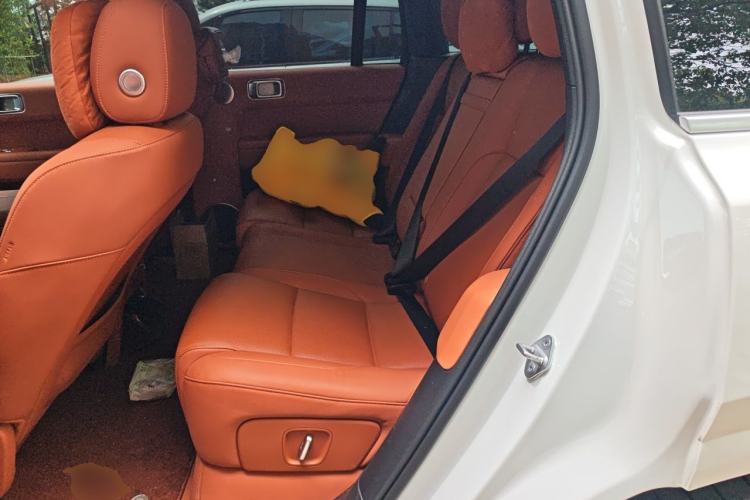 Used Li Auto L6 2024 Pro Model Left Rear Seat