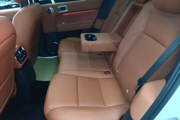 Used Li Auto L6 2024 Max Left Rear Seat