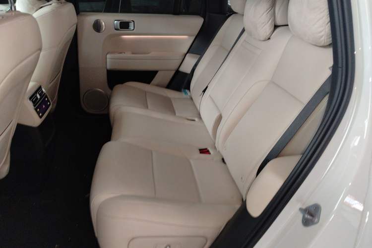 Used Li Auto L6 2024 Pro Model Left Rear Seat