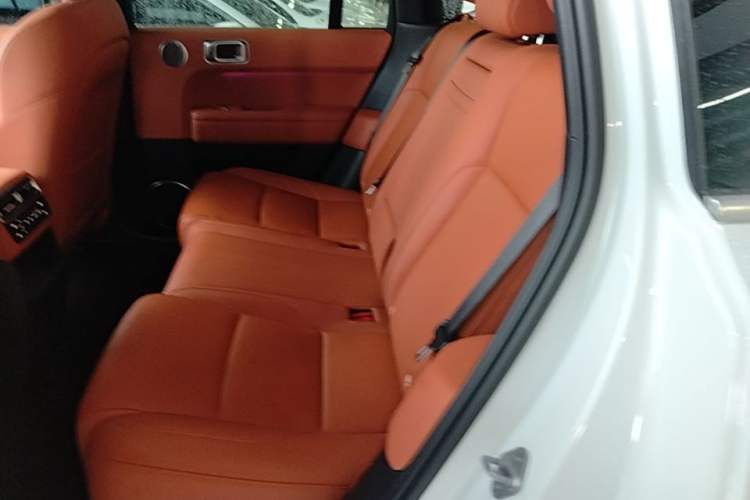 Used Li Auto L6 2024 Pro Model Left Rear Seat
