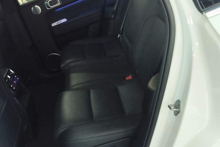 Used Li Auto L6 2024 Pro Model Left Rear Seat