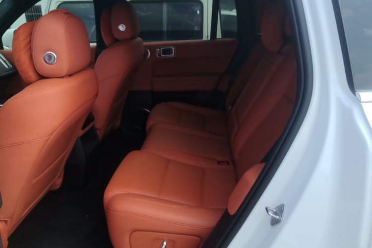 Used Li Auto L6 2024 Pro Model Left Rear Seat