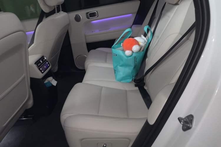 Used Li Auto L6 2024 Pro Model Left Rear Seat