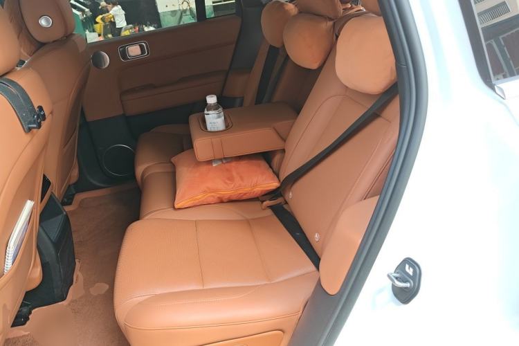 Used Li Auto L6 2024 Pro Model Left Rear Seat