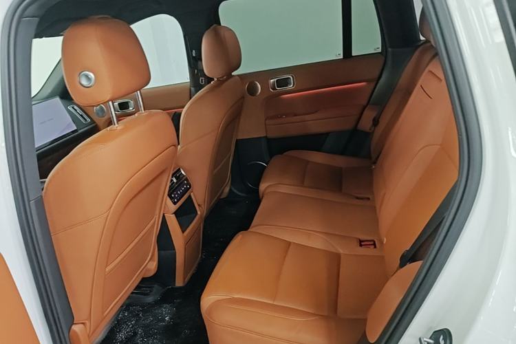 Used Li Auto L6 2024 Pro Model Left Rear Seat