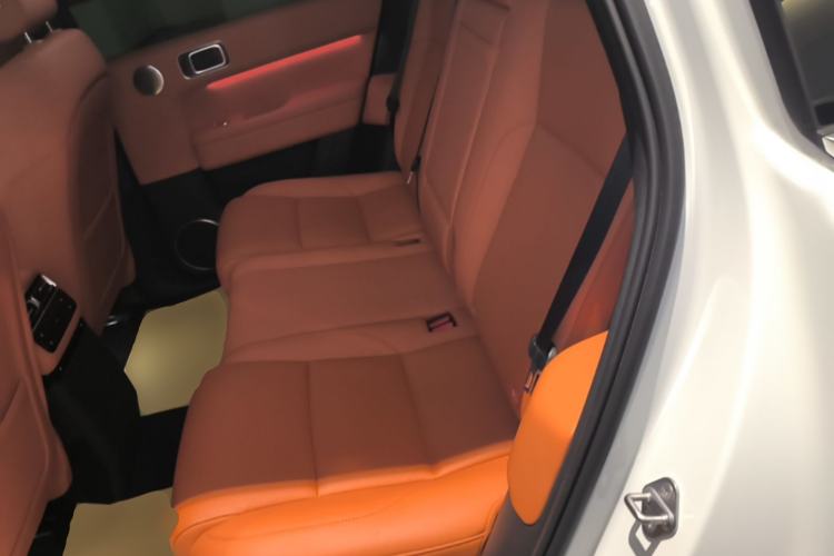 Used Li Auto L6 2024 Max Left Rear Seat