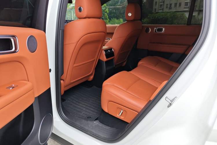Used Li Auto L6 2024 Pro Model Left Rear Seat