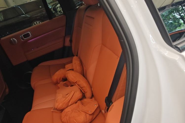 Used Li Auto L6 2024 Pro Model Left Rear Seat